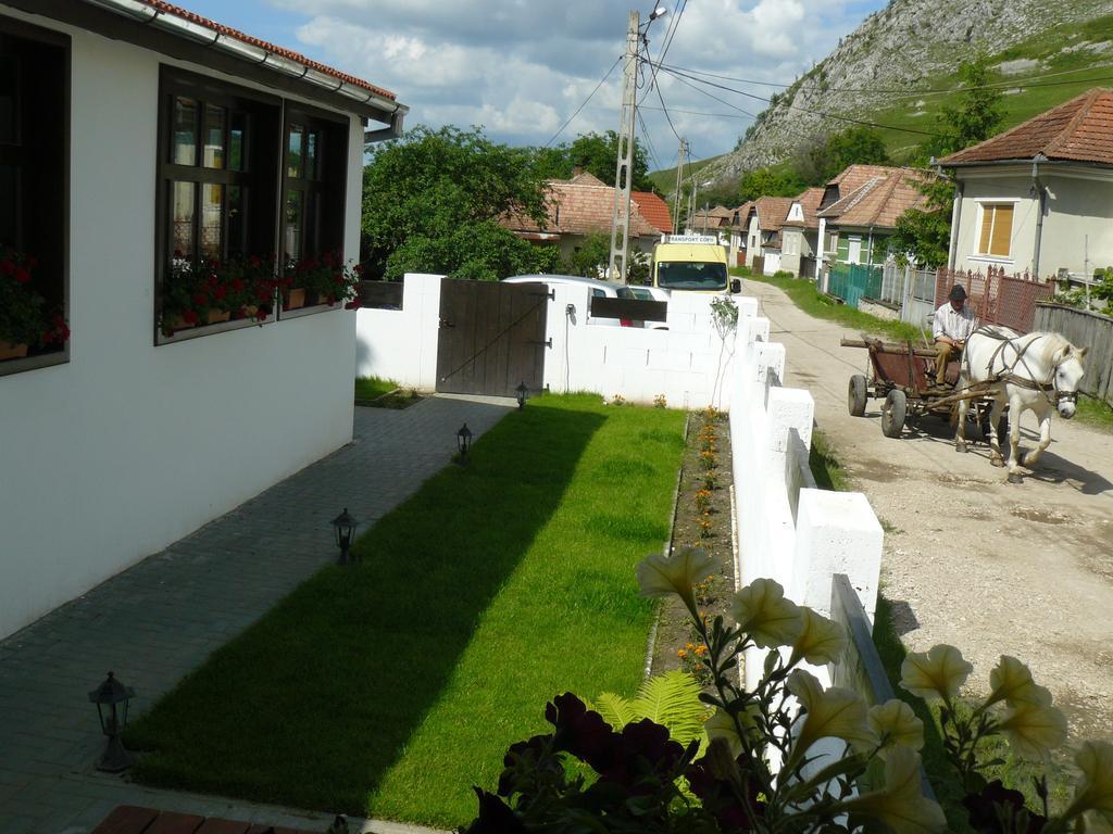 Casa Demeter Hotel Rimetea Exterior photo